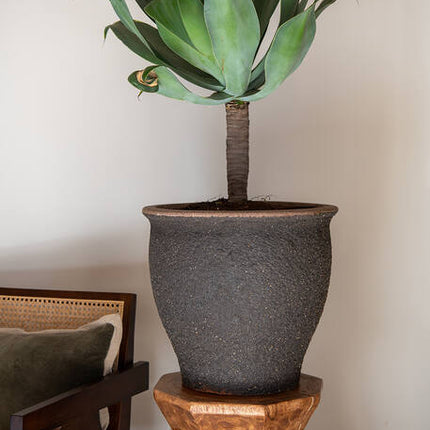Pottery Pots - Poseidon - M - Umber Brown