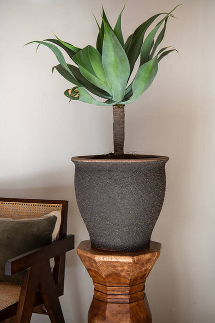 Pottery Pots - Poseidon - M - Umber Brown