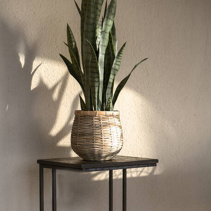Sansevieria - Kunstplant - S