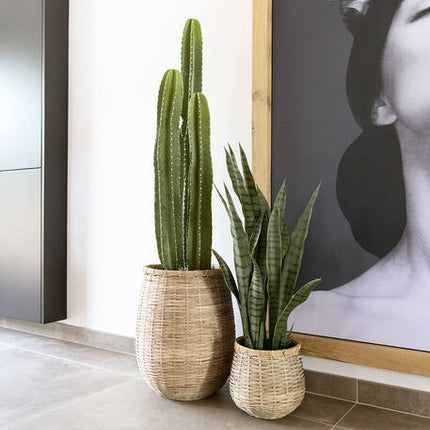 Sansevieria - Kunstplant - S
