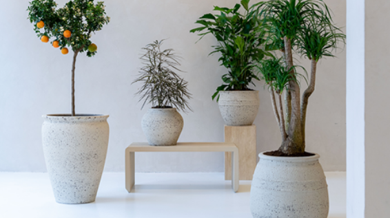 Banner image for: <h1>NIEUW: Potten</h1>