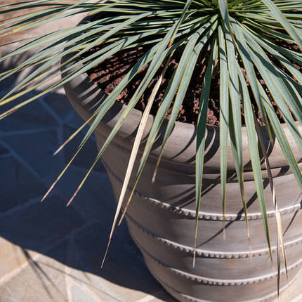 Pottery Pots - Selena - S - Chalk Beige