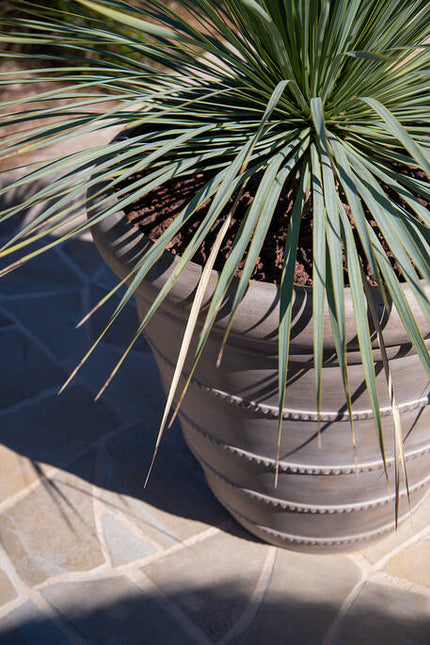 Pottery Pots - Selena - S - Chalk Beige