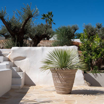 Pottery Pots - Selena - S - Chalk Beige