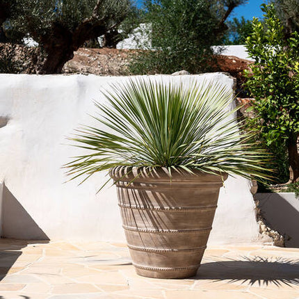 Pottery Pots - Selena - S - Chalk Beige