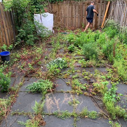 Tuinonderhoud van A tot Z: Aanplanten, Snoeien én Ontruimen