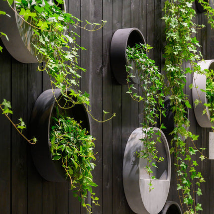 Pottery Pots - Wally (Hanging) - M - Black