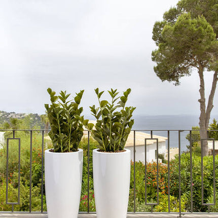 Zamioculcas - Kunstplant - M