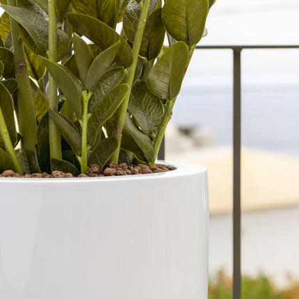 Zamioculcas - Kunstplant - M