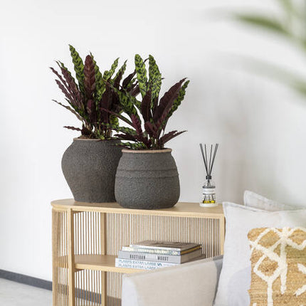 Pottery Pots - Zeus - L - Umber Brown