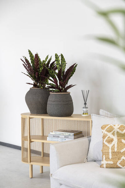 Pottery Pots - Zeus - L - Umber Brown