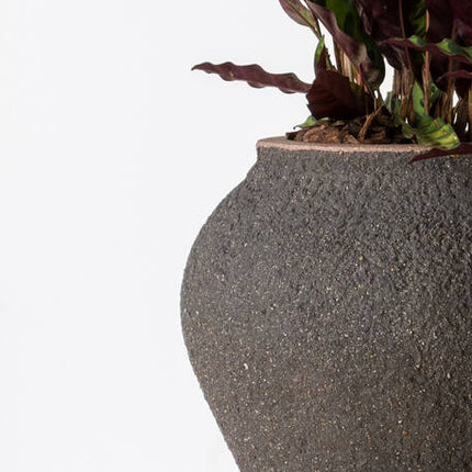 Pottery Pots - Zeus - S - Umber Brown