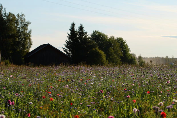 Banner image for: <h2>RUSTIG ORIËNTEREN?</h2>