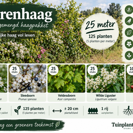 Boerenhaag inheems haagpakket 25 meter met 125 planten en 5 inheemse soorten