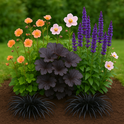 Borderpakket – Jaarrond kleur & bloei – Warm & contrastrijk - 5 m² - 50m