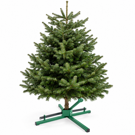 Gezaagde Nordmann kerstboom tot 200 cm in metalen kerstboomstandaard van 70 x 70 cm