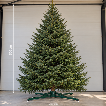 XXL Nordmann kerstboom van 500 cm in metalen kerstboomstandaard met uitschuifbare poten