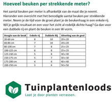 Afbeelding in Gallery-weergave laden, Hoeveel beuken per strekkende meter?
